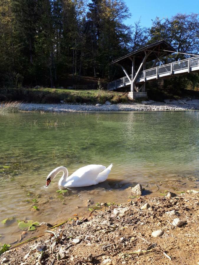 Le Charme Des 2 Lacs Malbuisson Εξωτερικό φωτογραφία